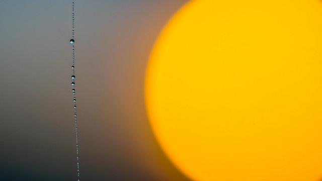 Yellow sun water droplets gray free wallpaper for desktop - medium preview image