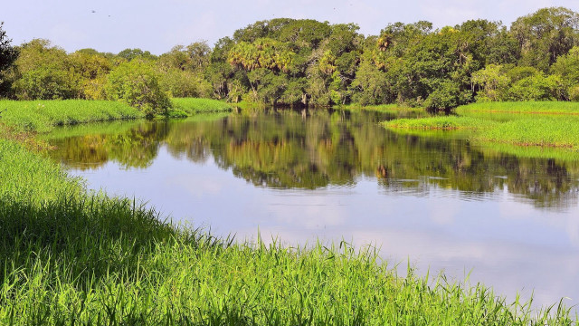 River grassy bank trees blue #2 free wallpaper for desktop - medium preview image