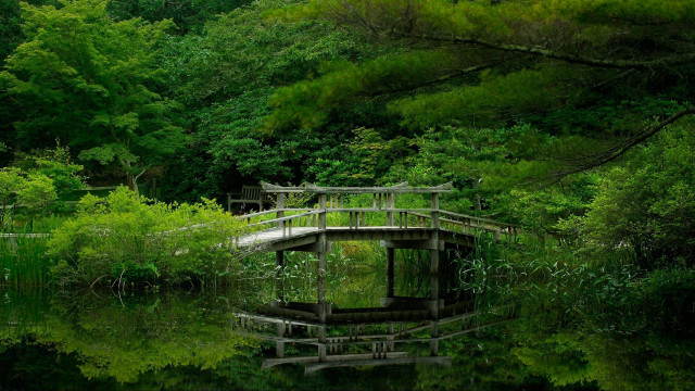 Bridge water trees bench nature free wallpaper for desktop - medium preview image