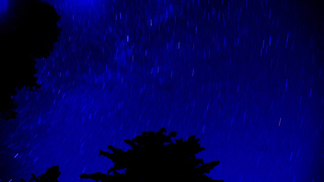 Tree starry sky blue night free wallpaper for desktop - medium preview image
