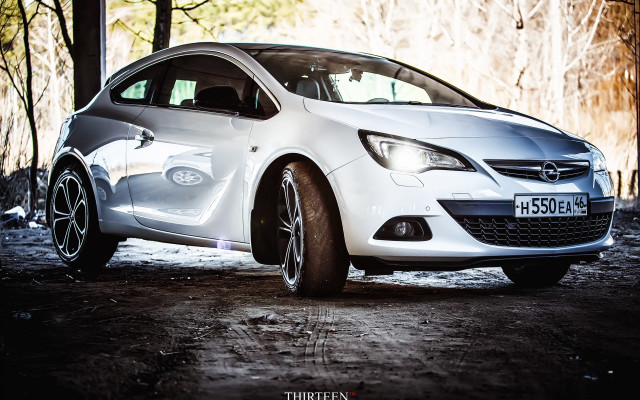 White car parked wooded area free wallpaper for desktop - medium preview image