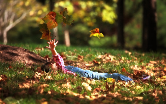 Child tree autumn park blurry free wallpaper for desktop - medium preview image