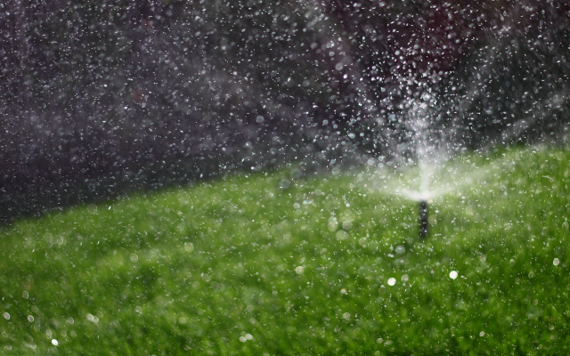 Sprinkler green lawn rain red #2 free wallpaper for desktop - medium preview image