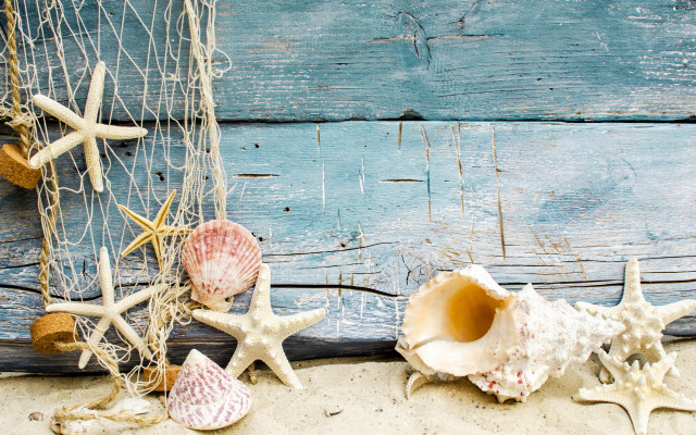 Sea shells beach net wooden free wallpaper for desktop - medium preview image