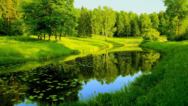 River forest greenery landscape sunlight free wallpaper for desktop - medium preview image