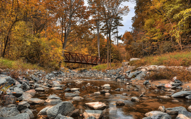 Small bridge stream forest autumn free wallpaper for desktop - medium preview image