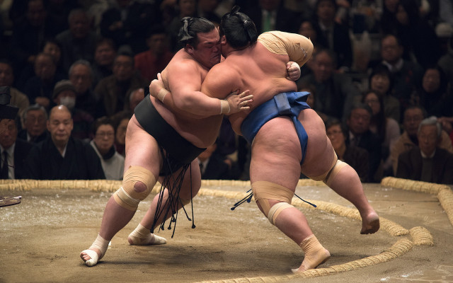 Sumo wrestlers crowd blue suit free wallpaper for desktop - medium preview image