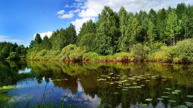 Lake trees water lilies clouds #2 free wallpaper for desktop - medium preview image