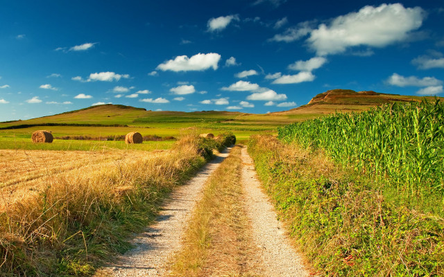 Dirt road field haybales blue free wallpaper for desktop - medium preview image