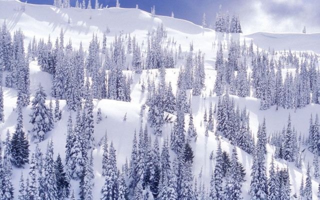 Snow mountain trees blue sky #2 free wallpaper for desktop - medium preview image