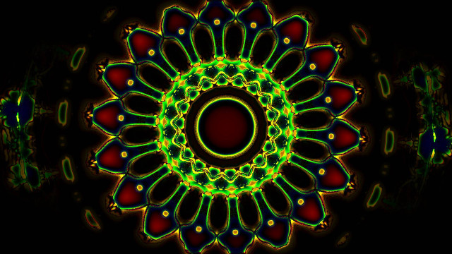 Colorful flower black background red free wallpaper for desktop - medium preview image