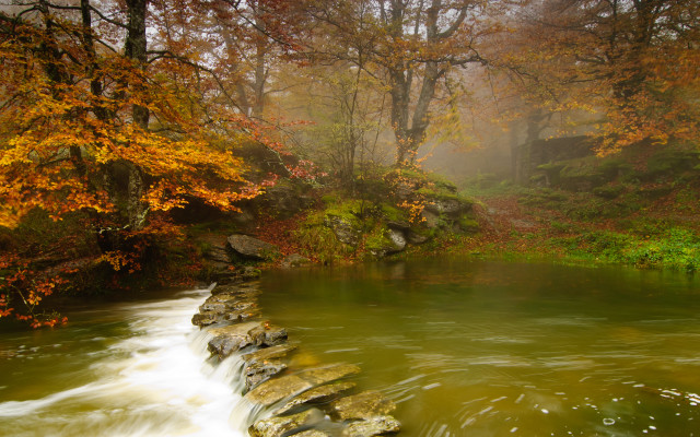River forest rocks stonewall autumn free wallpaper for desktop - medium preview image