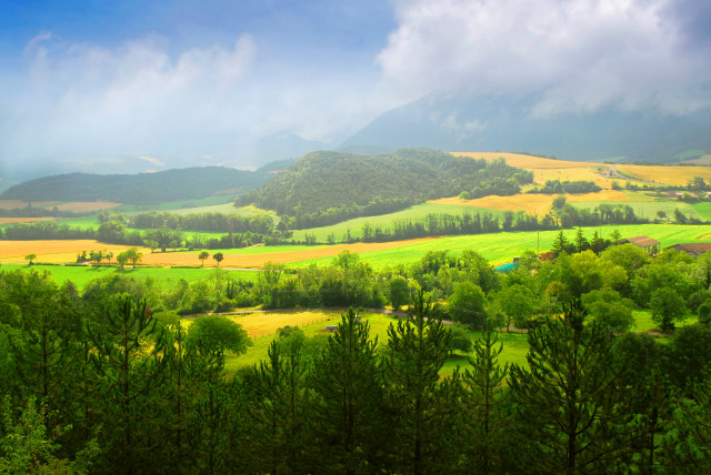 Alén diviš valley trees mountains free wallpaper for desktop - medium preview image