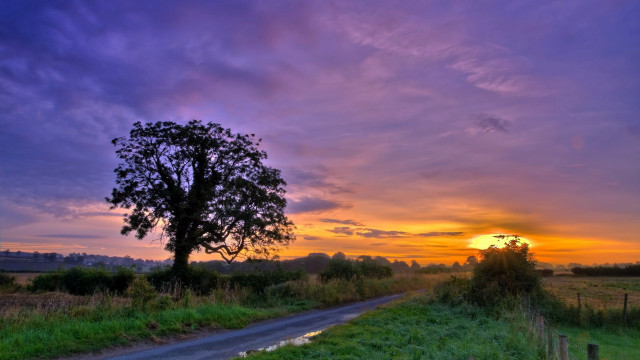 Sunset rural road tree field free wallpaper for desktop - medium preview image