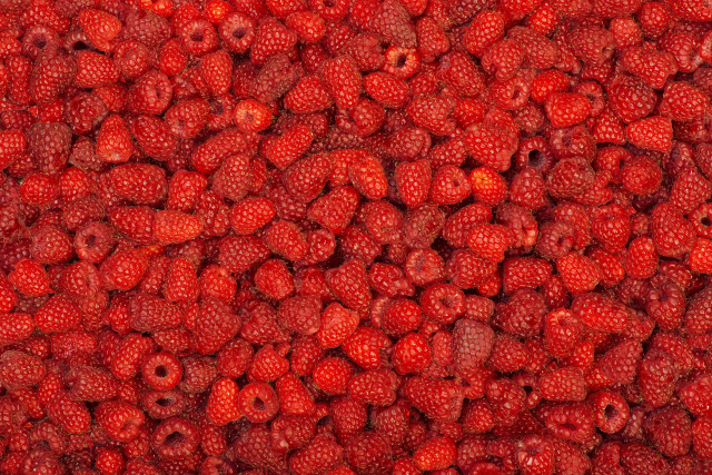 Raspberry pile red background food free wallpaper for desktop - medium preview image