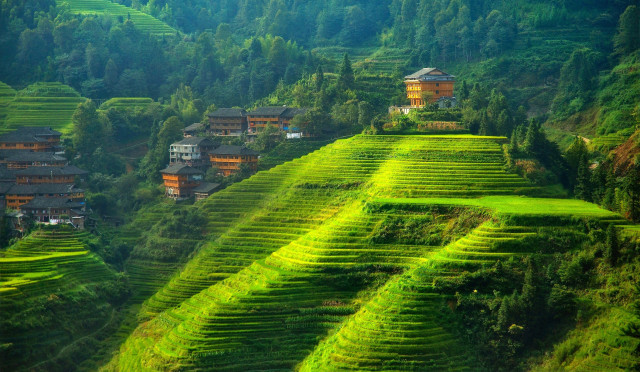 Green hillside houses trees field free wallpaper for desktop - medium preview image