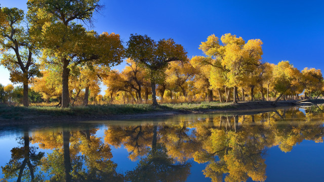 River trees bridge sky clouds free wallpaper for desktop - medium preview image