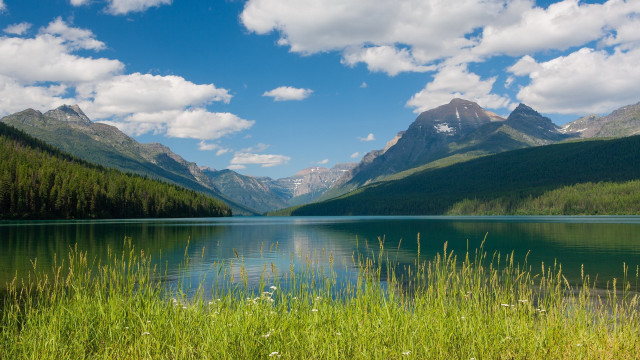 Lake mountains grass clouds flowers free wallpaper for desktop - medium preview image
