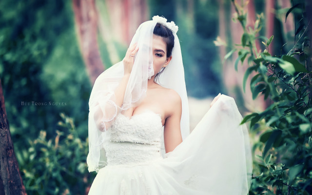 Bride wedding dress veil smile free wallpaper for desktop - medium preview image