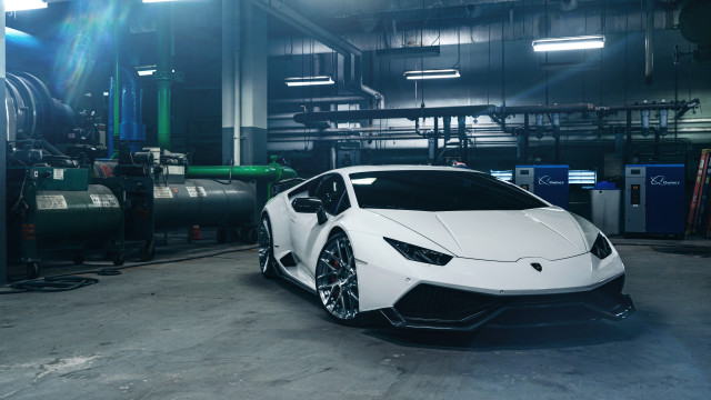 White lamb car garage pipes free wallpaper for desktop - medium preview image