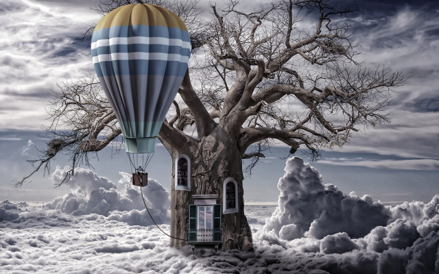Hot air balloon over tree free wallpaper for desktop - medium preview image