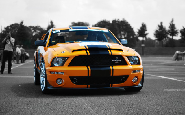 Mustang yellow black parking lot free wallpaper for desktop - medium preview image
