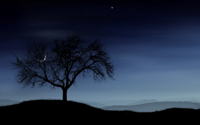 Tree hill star mountain night free wallpaper for desktop - medium preview image