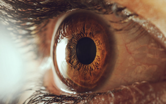 Eye brown iris macro reflection free wallpaper for desktop - medium preview image