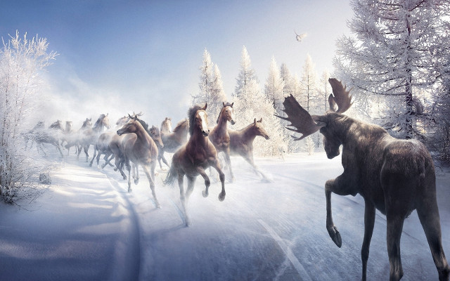 Horses snowy forest birds fantasy free wallpaper for desktop - medium preview image