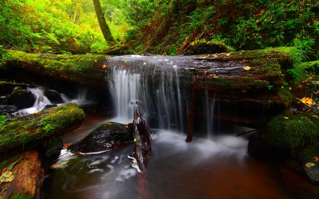 Lush green forest waterfall moss free wallpaper for desktop - medium preview image