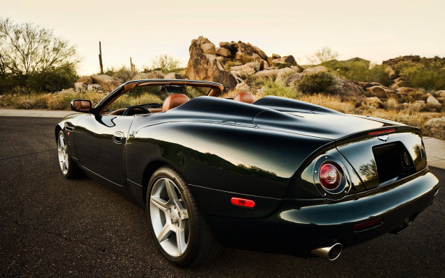 Black sports car cactus rocks free wallpaper for desktop - medium preview image