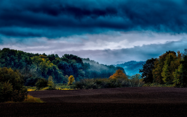 Field forest clouds matte painting free wallpaper for desktop - medium preview image