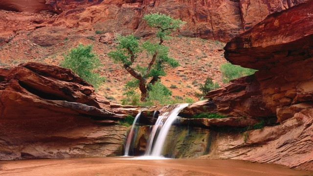 Waterfall canyon tree rockwall nature free wallpaper for desktop - medium preview image