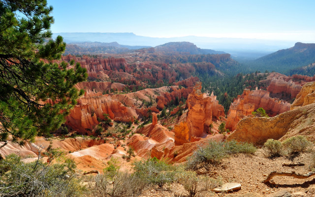 Valley mountains trees blue sky free wallpaper for desktop - medium preview image