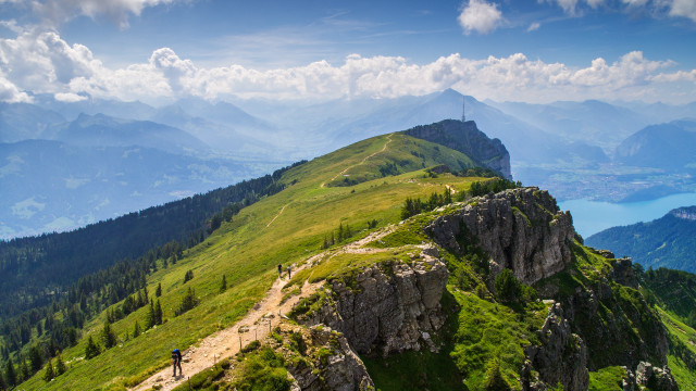 Lush green hillside forest mountains free wallpaper for desktop - medium preview image