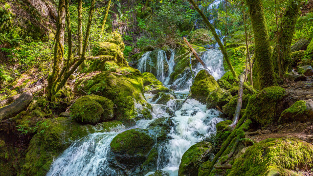 Small waterfall mossy rocks forest #3 free wallpaper for desktop - medium preview image
