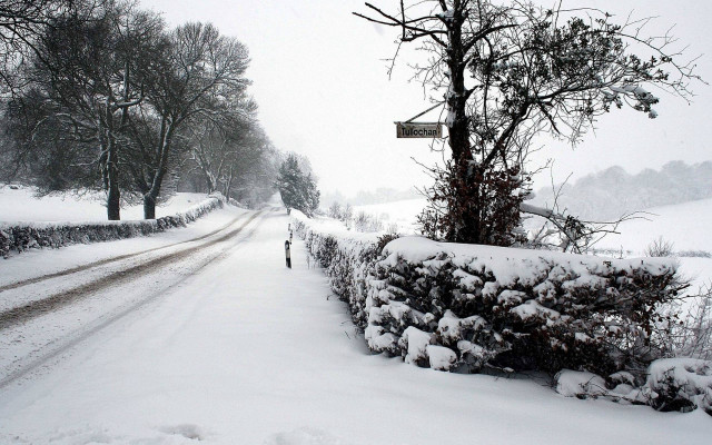 Snowy road sign tree person free wallpaper for desktop - medium preview image