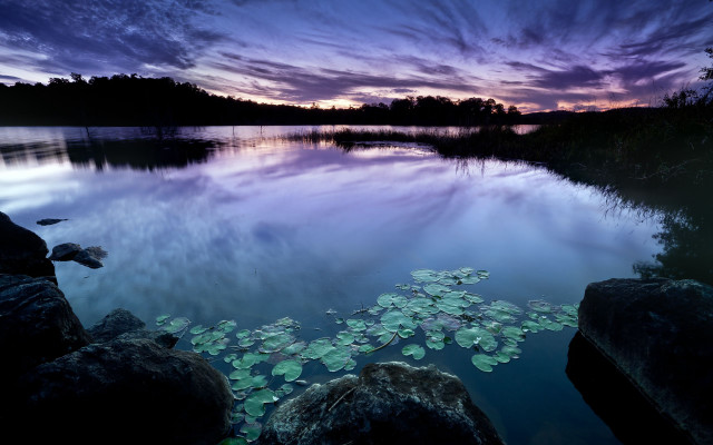 Lake lilypads sunset purple sky free wallpaper for desktop - medium preview image