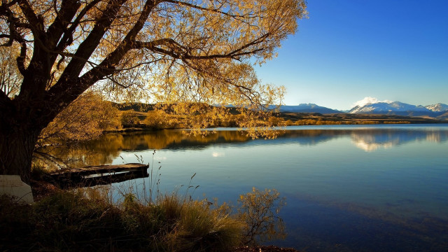 Autumn tree lake mountains boat free wallpaper for desktop - medium preview image