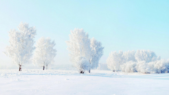 Snowy landscape trees people winter free wallpaper for desktop - medium preview image
