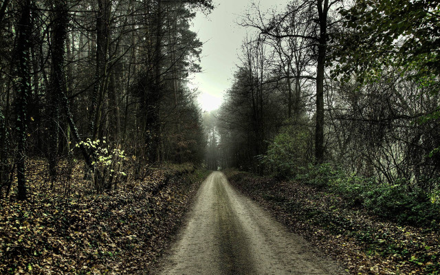 Dirt road forest trees dark free wallpaper for desktop - medium preview image