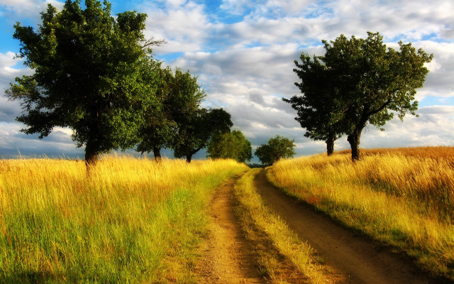 Dirt road field trees sky free wallpaper for desktop - medium preview image