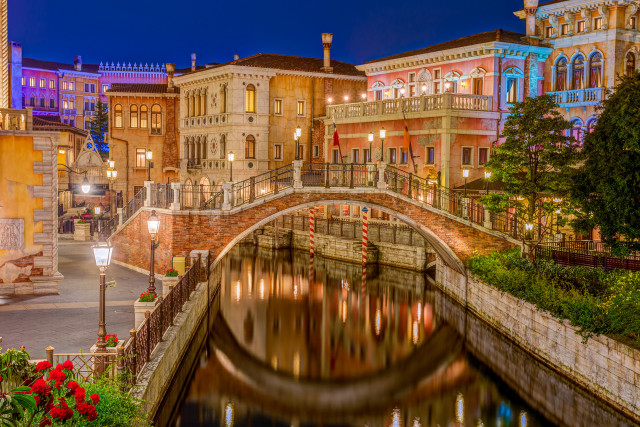 Bridge city night lights flowers free wallpaper for desktop - medium preview image