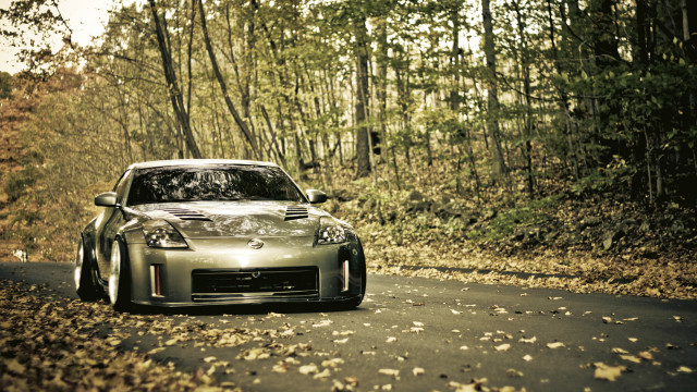 Car woods leaves tiltshift glossy free wallpaper for desktop - medium preview image