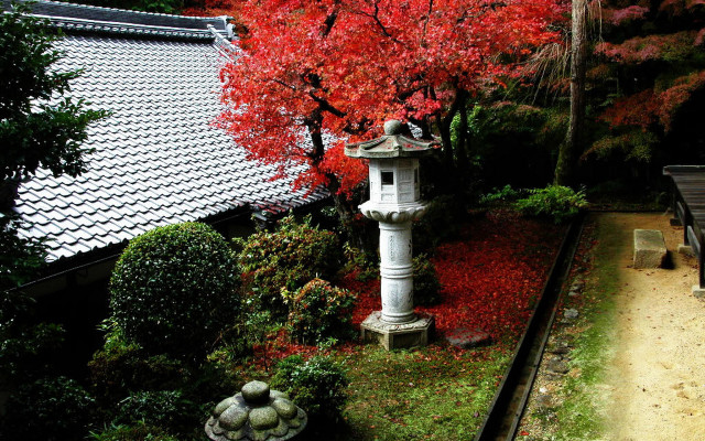 Garden pagoda red leaves bench free wallpaper for desktop - medium preview image