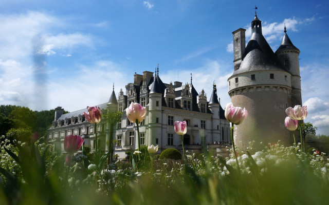 Castle tower flowers blue sky free wallpaper for desktop - medium preview image