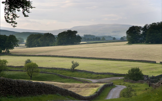 Dirt road lush green countryside #2 free wallpaper for desktop - medium preview image