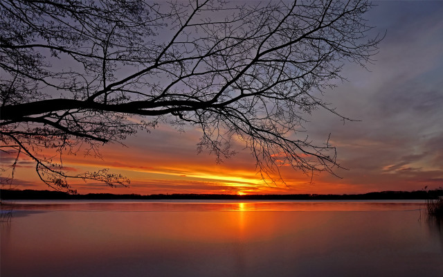 Sunset lake tree branch clouds free wallpaper for desktop - medium preview image