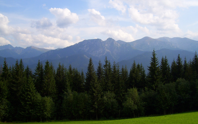 Mountain forest lake beach sky free wallpaper for desktop - medium preview image