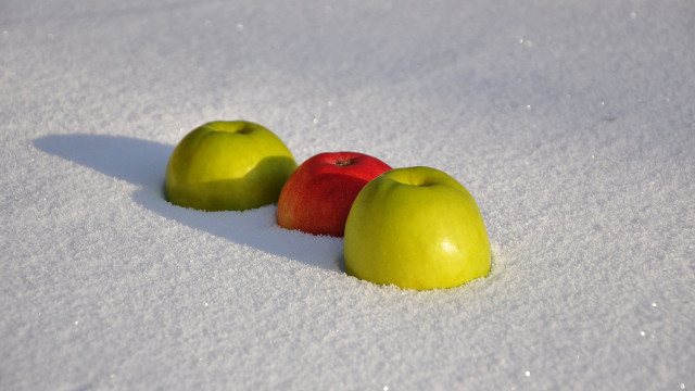 Apples in snow shadow photorealistic free wallpaper for desktop - medium preview image